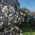 別荘 Stone Mansion Anavryti, αμα 20569 *