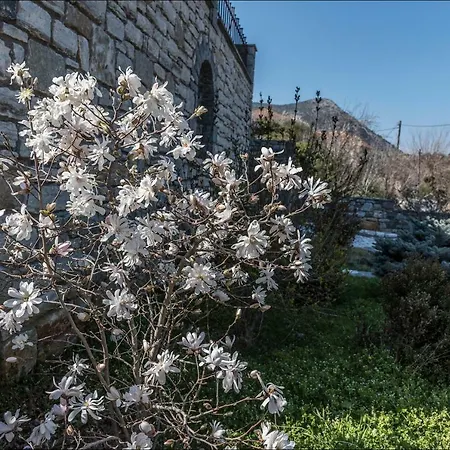 Vakantiehuis Stone Mansion Anavryti, αμα 20569 *