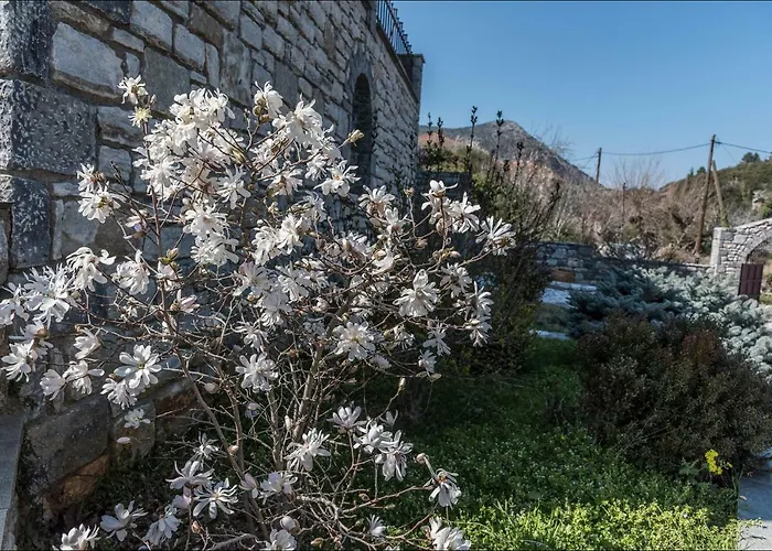 Casa vacanze Stone Mansion Anavryti, αμα 20569 *